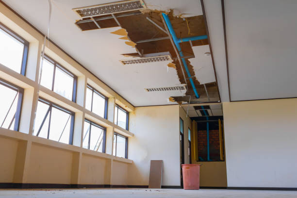 Best Water damage restoration near me  in Red Bud, IL