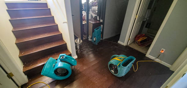 Best Carpet water damage restoration  in Red Bud, IL
