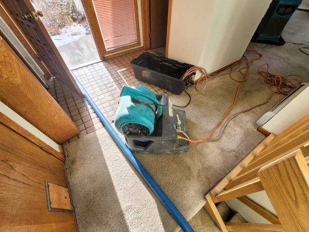 Best Ceiling water damage repair  in Red Bud, IL