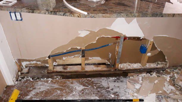 Best 24/7 water damage repair  in Red Bud, IL