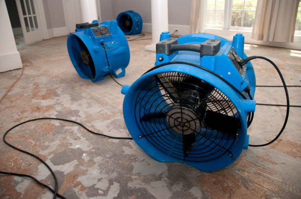 Best Flood restoration services  in Red Bud, IL