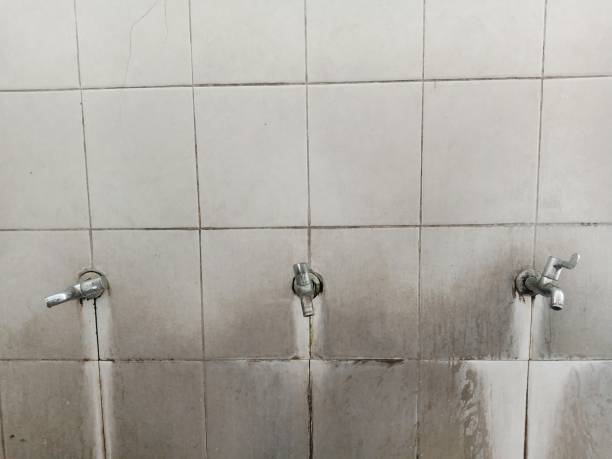 Best Water damage cleanup near me  in Red Bud, IL