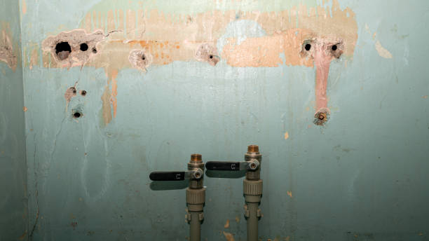  Red Bud, IL Water damage restoration Pros