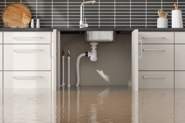 Best Flood damage cleanup  in Red Bud, IL